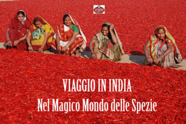 Viaggio in India