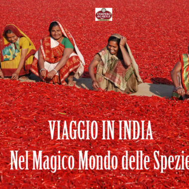 Viaggio in India