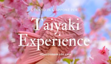 Taiyaki Experience
